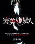 完美嫌疑人