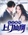 女总裁的上门仙婿