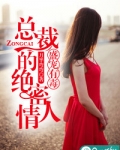 盛宠有毒：总裁的绝密情人