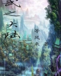 武之大陆