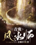 青囊风水师