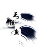 正经鱼在线破案