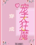 穿成宠夫狂魔