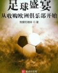 足球盛宴，从收购欧洲俱乐部开始