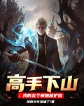 高手下山:我的五个师娘超护短