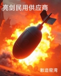 亮剑之军火供应商