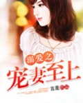 溺爱之宠妻至上