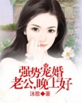 强势宠婚:老公,晚上好