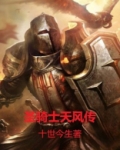 圣骑士天风传