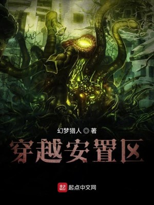 穿越安置区
