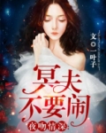 夜吻情深：冥夫不要闹