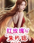 红玫瑰与朱砂痣