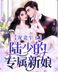 宠妻至上:陆少的专属新娘