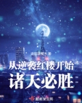 从红楼开始打穿诸天作者:迹部逗樱木