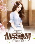 重生仙帝神婿