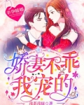 幸孕暖婚:娇妻不乖,我宠的