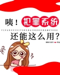 咦!犯罪系统还能这么用?
