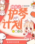网游之护琴计划