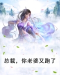 总裁,你老婆又跑了
