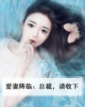 爱妻降临:总裁,请收下