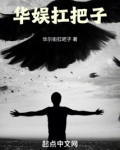 华娱扛把子无防盗