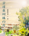 穿过桑树林的光