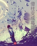 四合院:傻柱变成葛朗柱