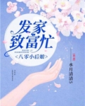 八零小后娘:发家致富忙