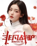 电视剧非凡战士