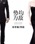 势均力敌（婚后文）