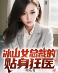 冰山女总裁的贴身狂医