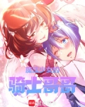 魔法少女的骑士哥哥无防盗