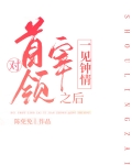 对首领宰一见钟情之后