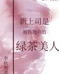 新上司是被我抛弃的绿茶美人