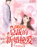 总裁的新婚秘爱