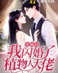 出狱后,我闪婚了植物人大佬