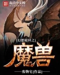 轮回转生幻想