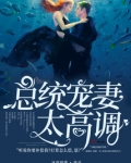 总统宠妻太高调