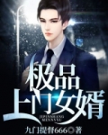 极品上门女婿