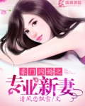 豪门闪婚之专业新妻
