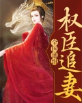 权臣追妻,全国通缉