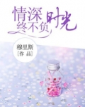 情深终不负时光