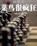 网游之菜鸟很疯狂