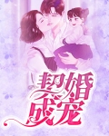 契婚成宠