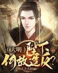 大明:陛下何故造反?