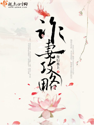 宠妻攻略完整版