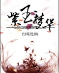 紫玉梦华