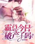 霸总今日破产了吗?