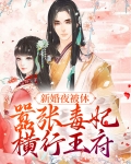 新婚夜被休,嚣张毒妃横行王府