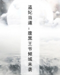 盗妃当道:腹黑王爷倾城来袭